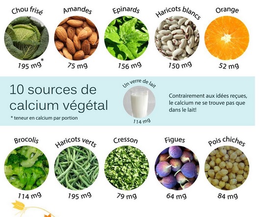 Les sources de calcium végétal