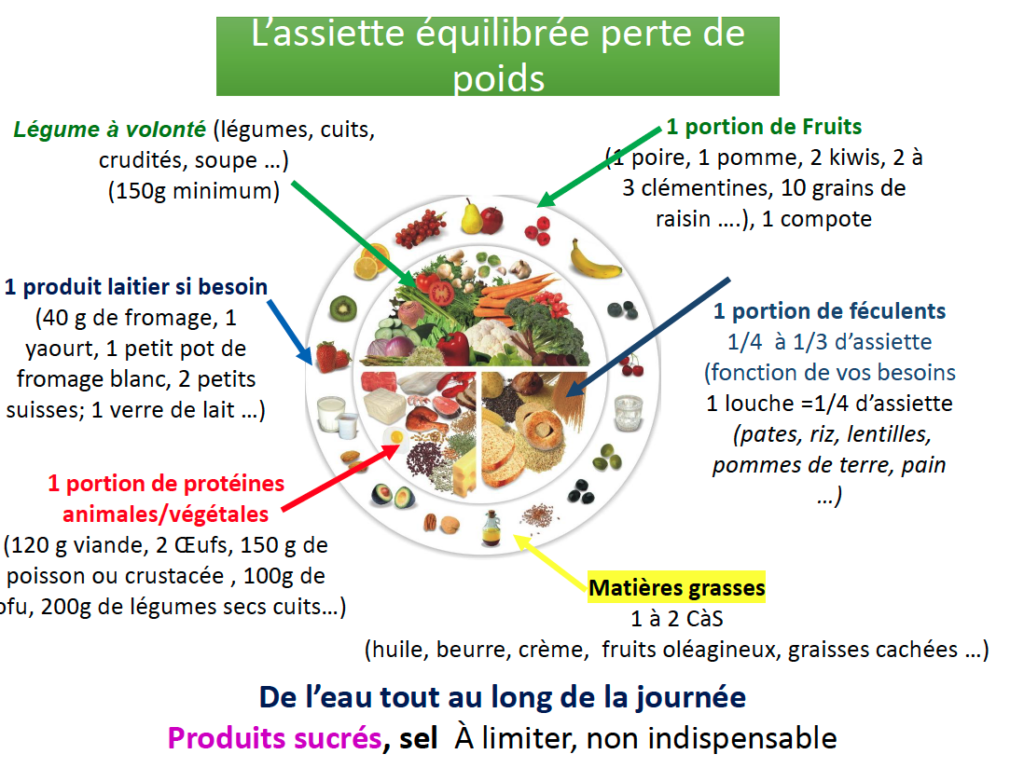 Une assiette équilibrée pour une journée équilibrée