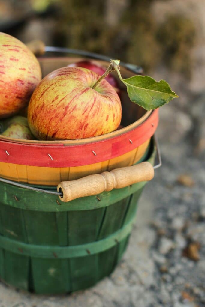 A vibrant and rustic basket filled with freshly harvested apples outdoors, showcasing farm freshness.